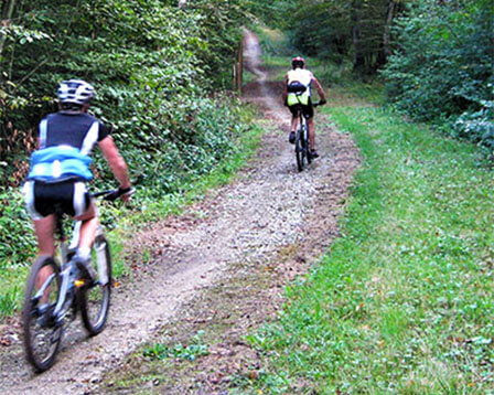 Mountainbiken in het bos van Bulgnéville : camping A31 Porte des Vosges