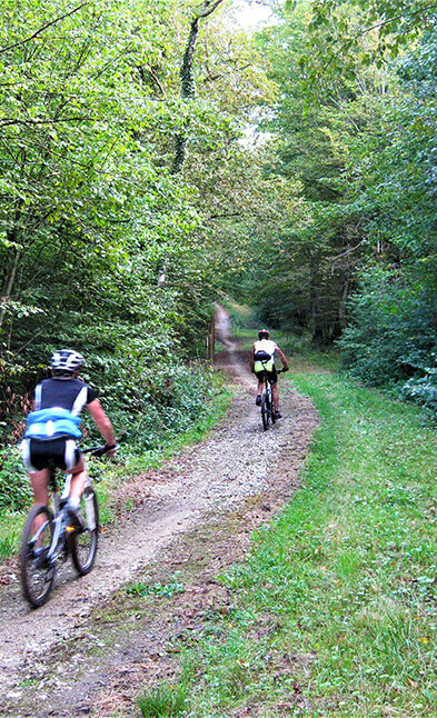 Mountainbiken in het bos van Bulgnéville : camping A31 Porte des Vosges