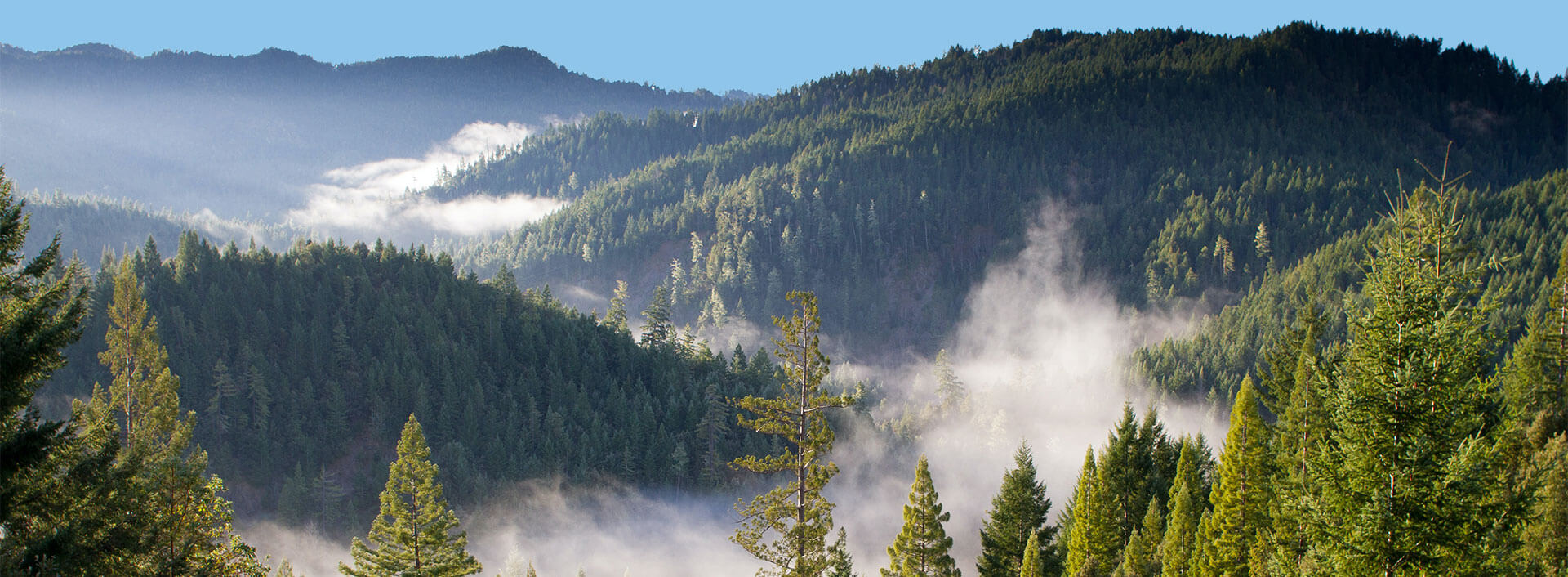 Campingplatz im Bereich Grand-Est, campingplatz Porte des Vosges : tourismus und erholung