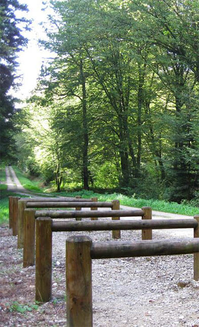 Communal forest of Bulgnéville: camping A31 Porte des Vosges