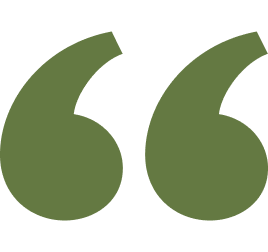 Green double quotes icon