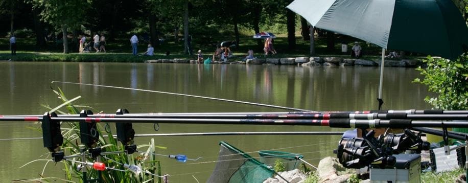 Vissen op het Lac de la Folie : Camping Vosges, camping Porte des Vosges